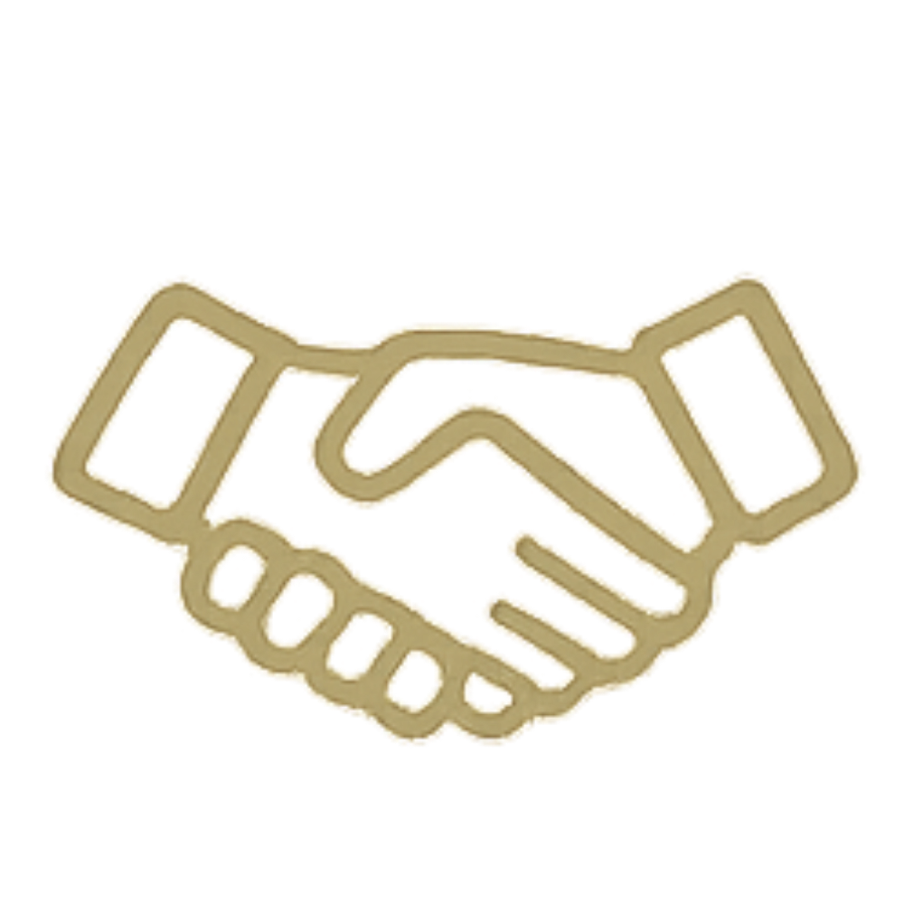 Long-term client partnership and support