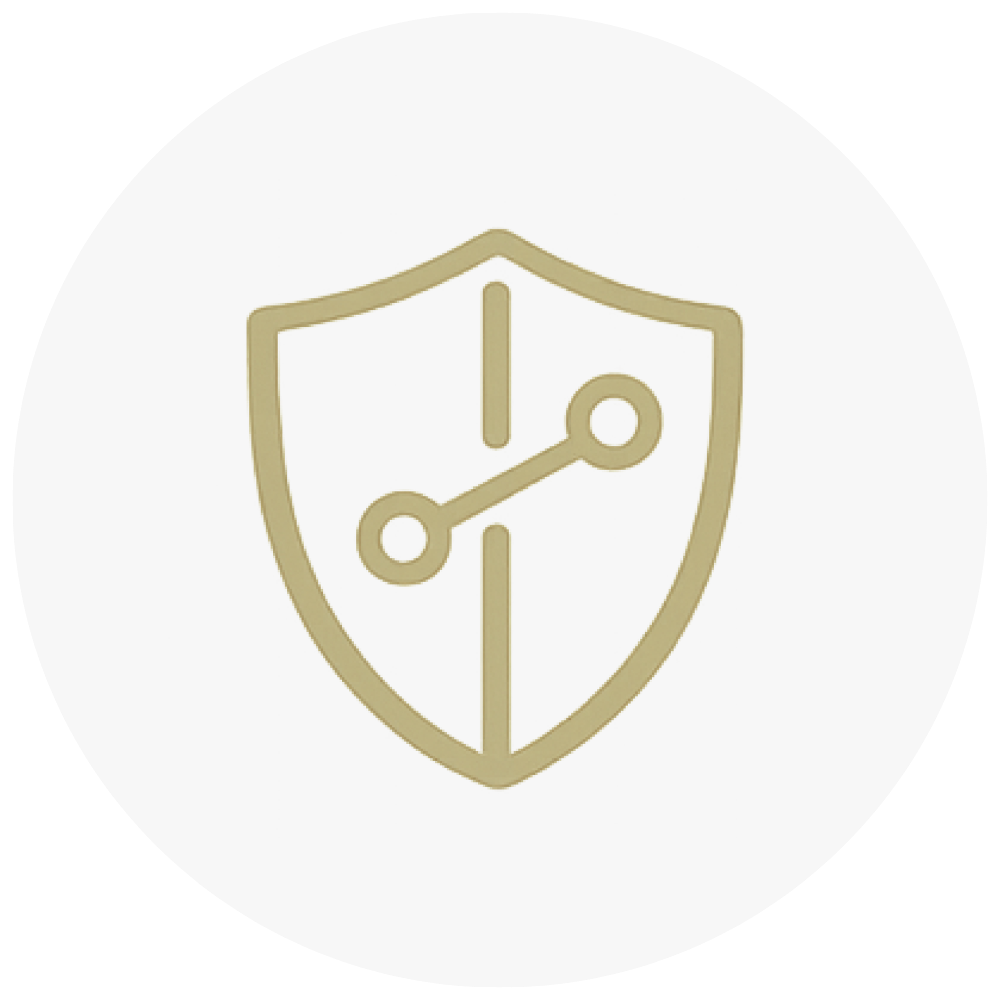 Co-managed IT shield protection icon