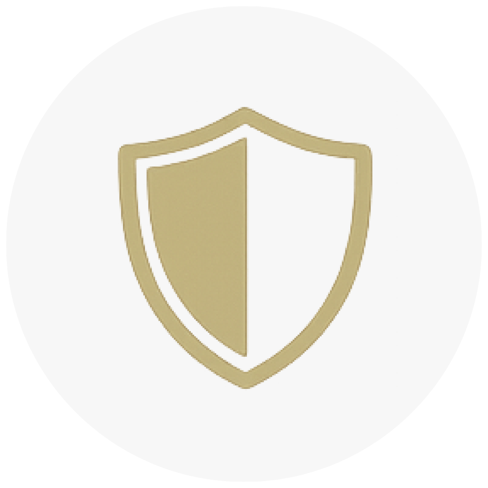 Cybersecurity protection shield icon