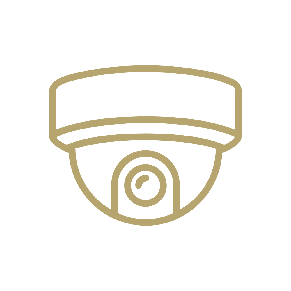 Business CCTV, remote camera monitoring and access control systems