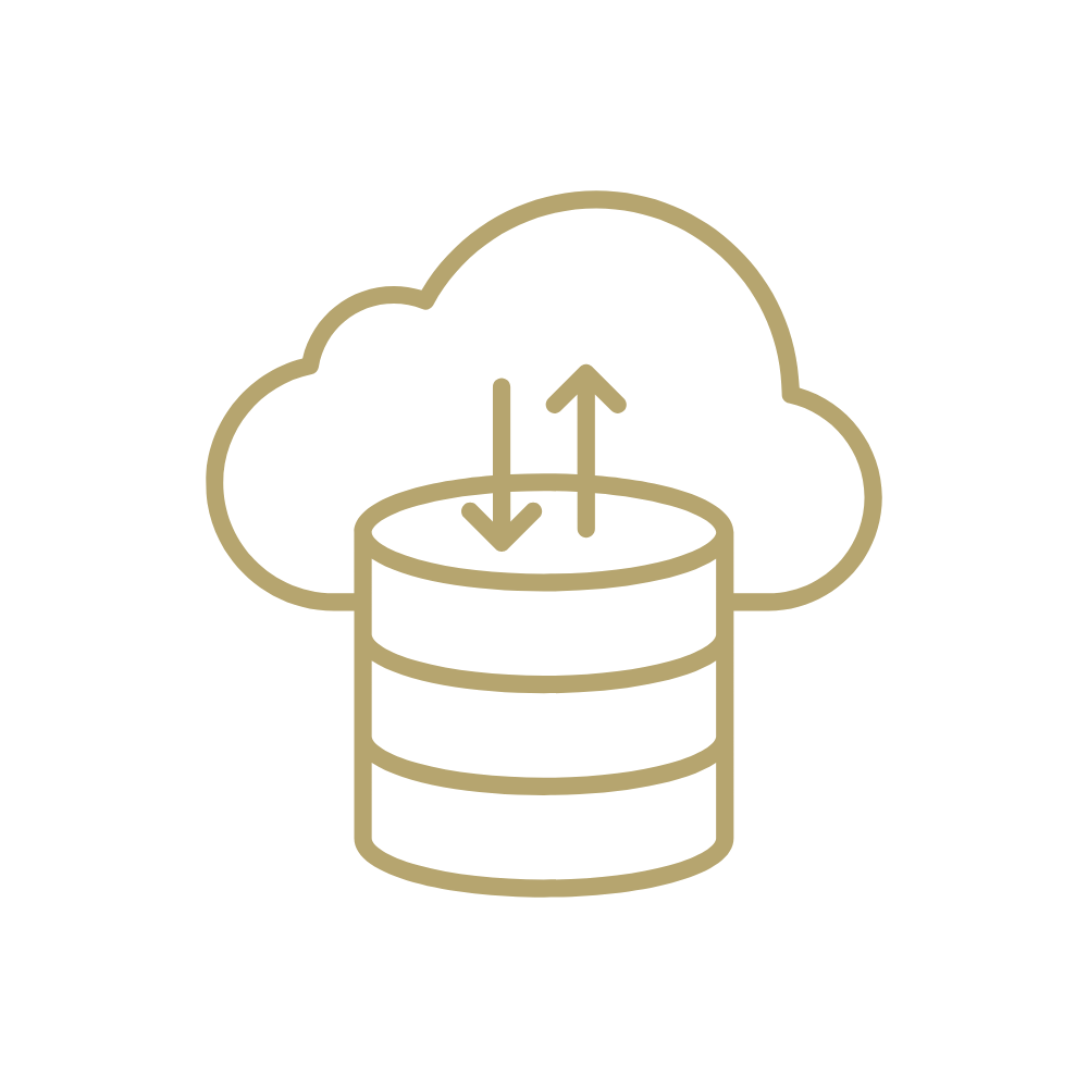 Business data backup and disaster recovery services
